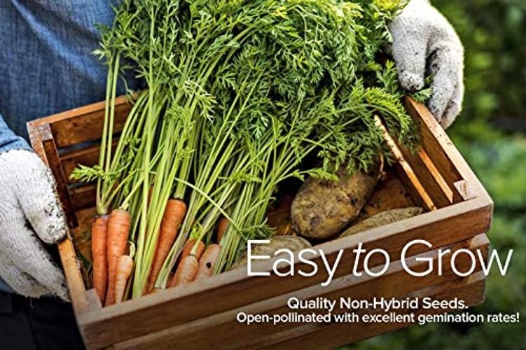 Cool Weather Crops for Planting – Winter, Fall, and Spring Vegetable Seeds