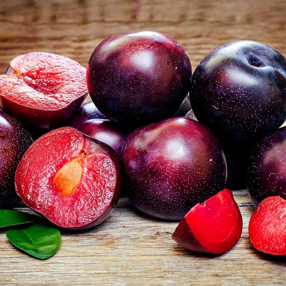 150+ Wild Perennial Plum Trees Fruit Seeds for Planting Outdoors-Organic Native