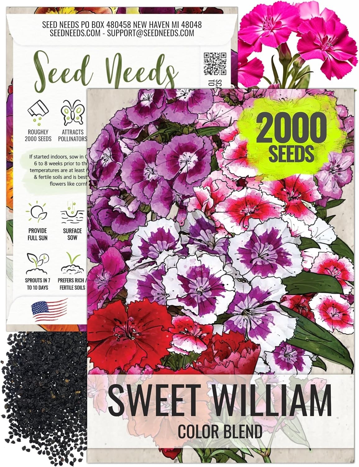 Heirloom Sweet William Seeds – Colorful Dianthus for Vibrant Butterfly Gardens