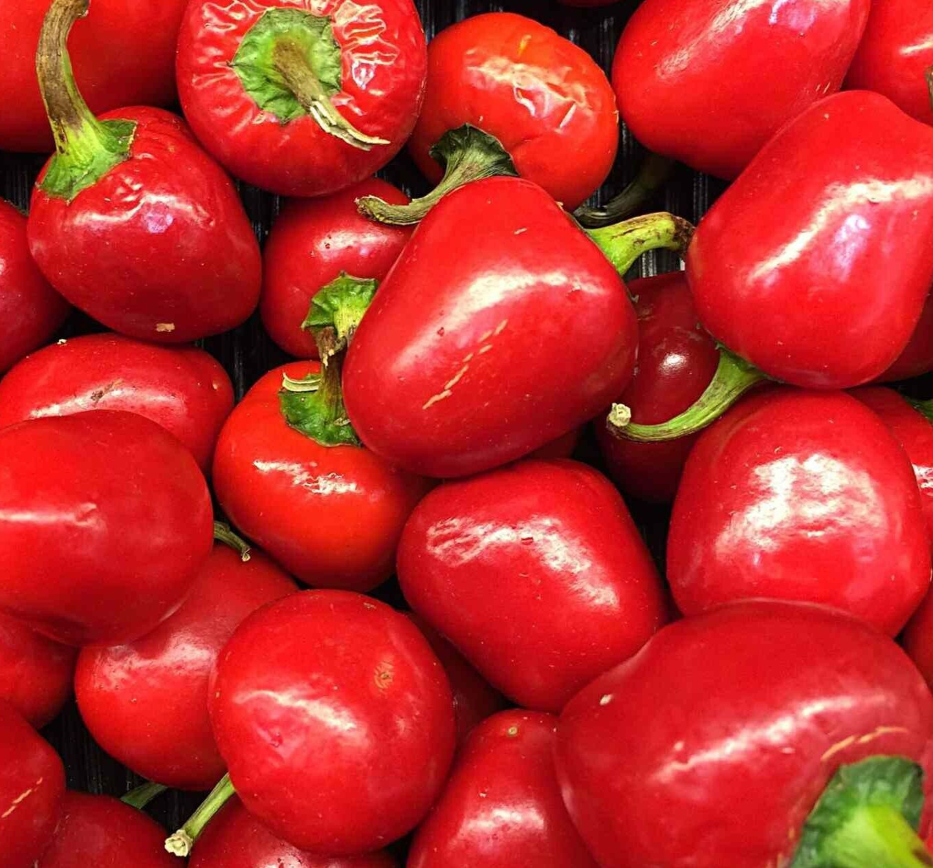 PIMENTO PEPPER SEEDS 30+ “SWEEY” vegetable GARDEN pickling PEPPER FREE SHIPPING