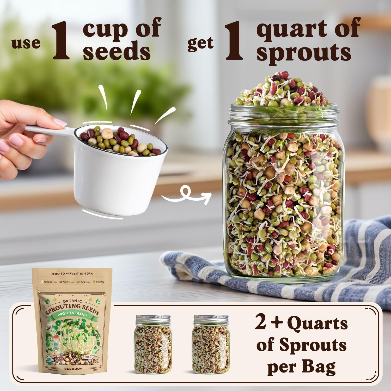 Seedboy Organic Non-GMO Sprouting Seeds, Protein Blend – USA Grown Microgreens M
