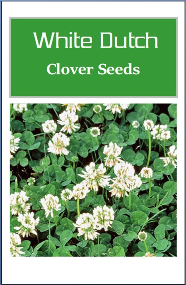 White Dutch Clover Cover Crop Seeds | NON-GMO | Heirloom | Fresh Flower Seeds