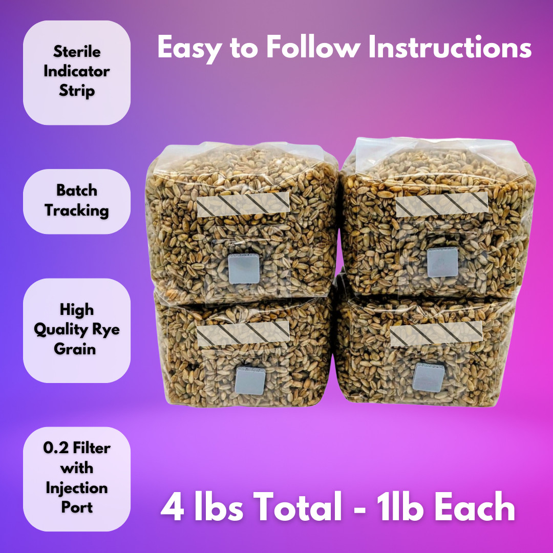4 – 1lb Grain Spawn bags Rye Berries w/ Injection Ports Mushroom Growing How To