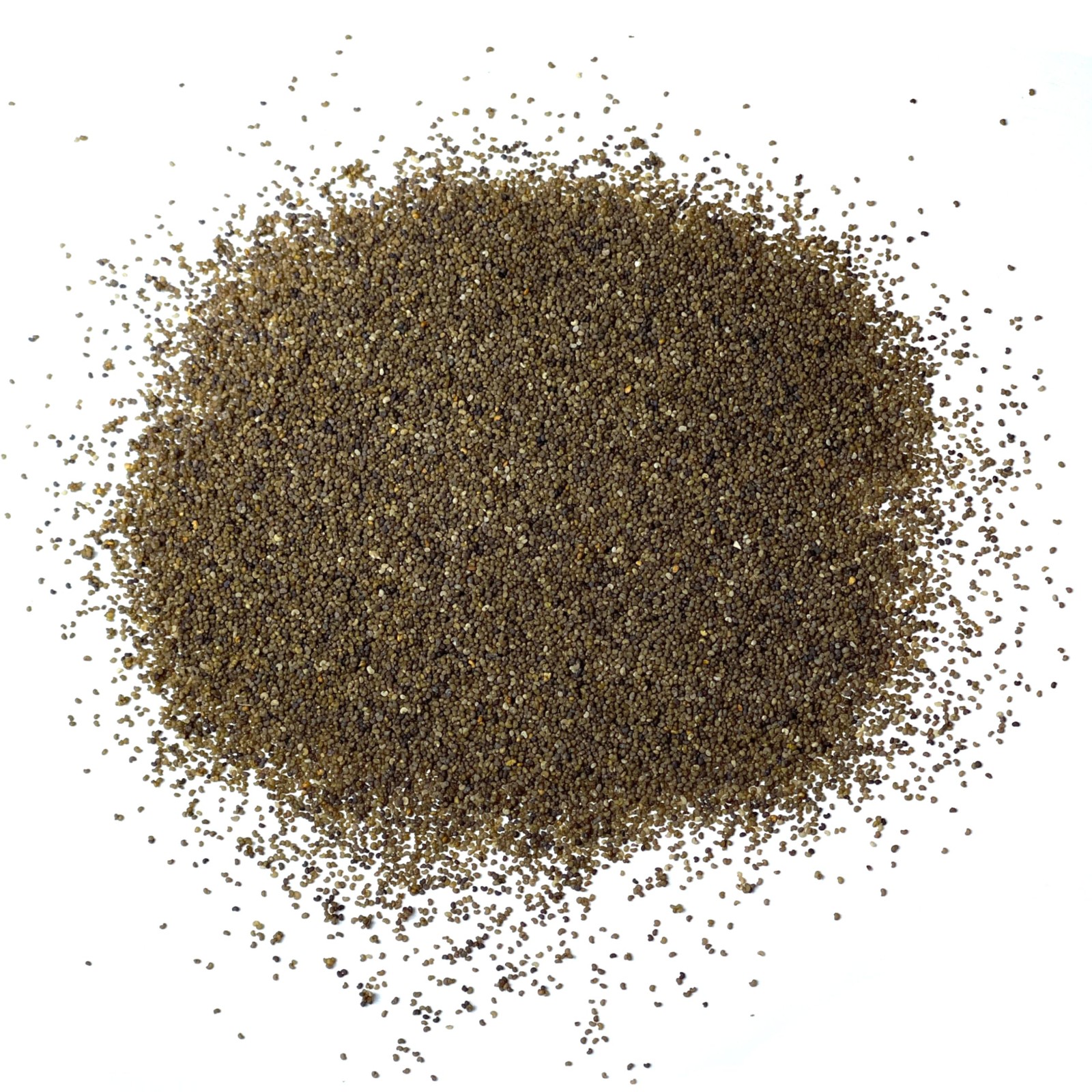 Corn Poppy Seeds for Planting | 1.5 oz Annual Flower Seeds | Red Blooms