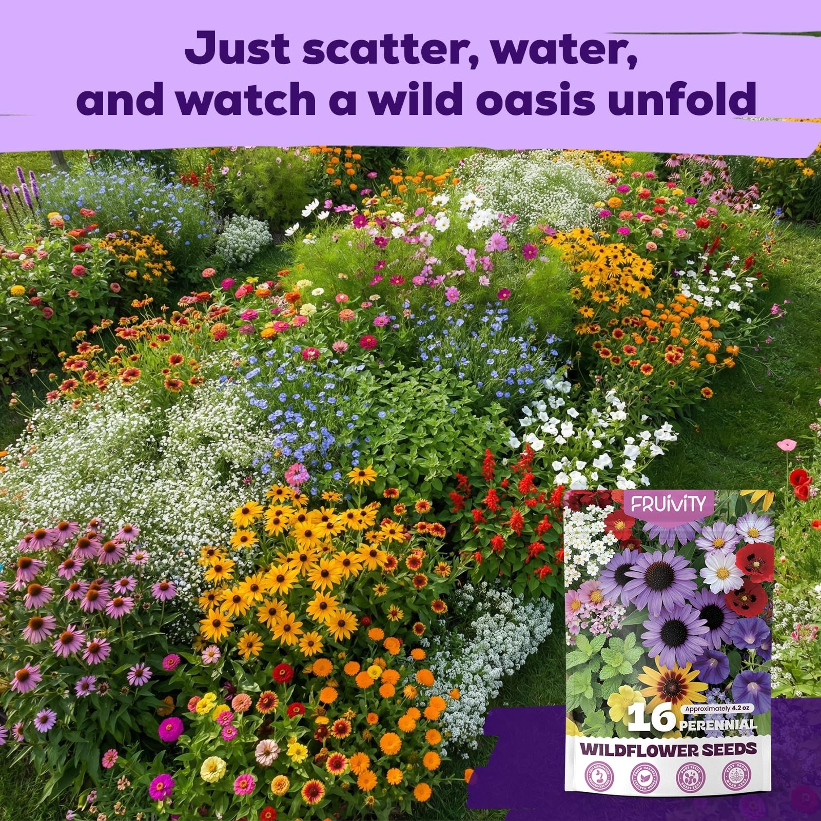 200,000+ Wildflower Seeds Bulk – 16 Varieties Perennial & Annual Mix, Attract Po