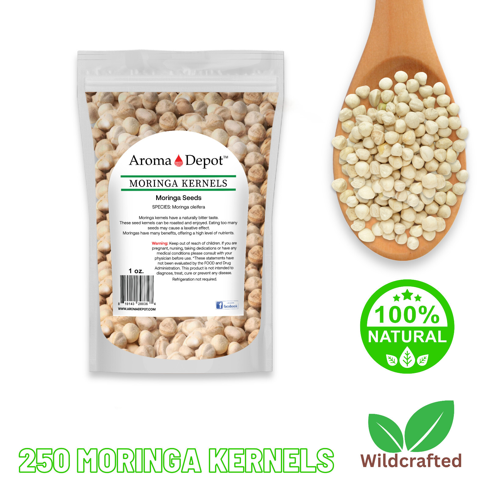 Moringa KERNELS 1 oz. Seeds oleifera Shelled 125 Semilla De Moringa Wholesale