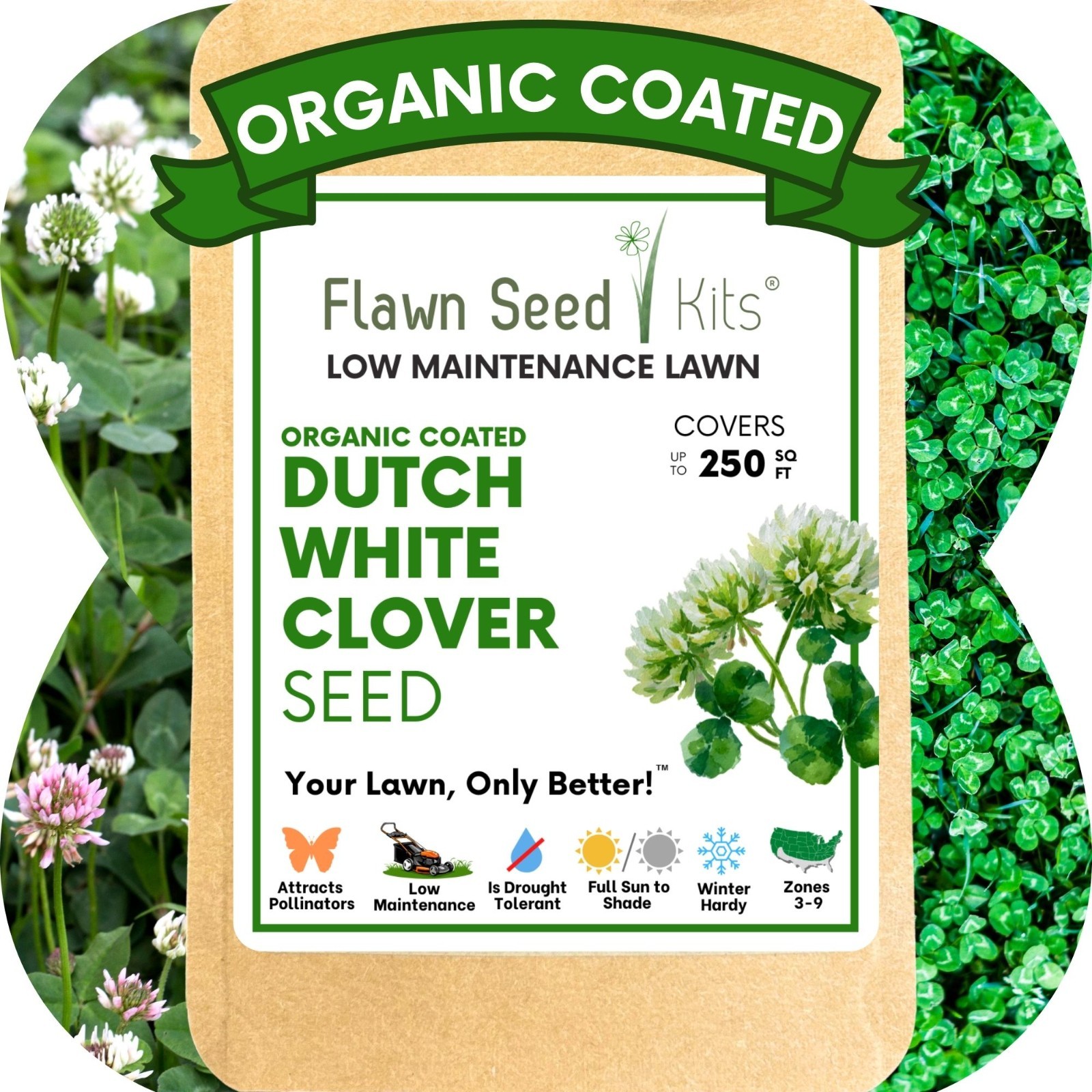 Dutch White Clover Seed, Organic Coated, Eco-Friendly, Low Maintenance