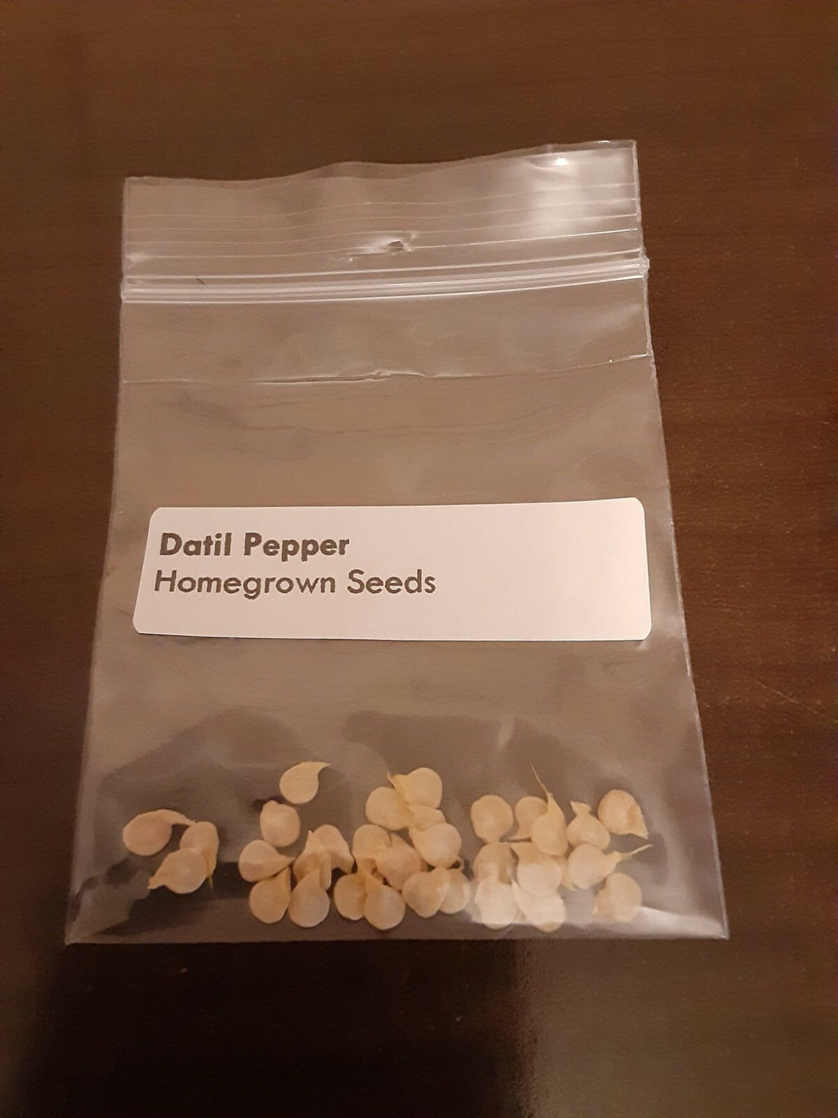 35+ Datil Hot Pepper Seeds – Florida Grown – Fresh seeds for planting June 2025