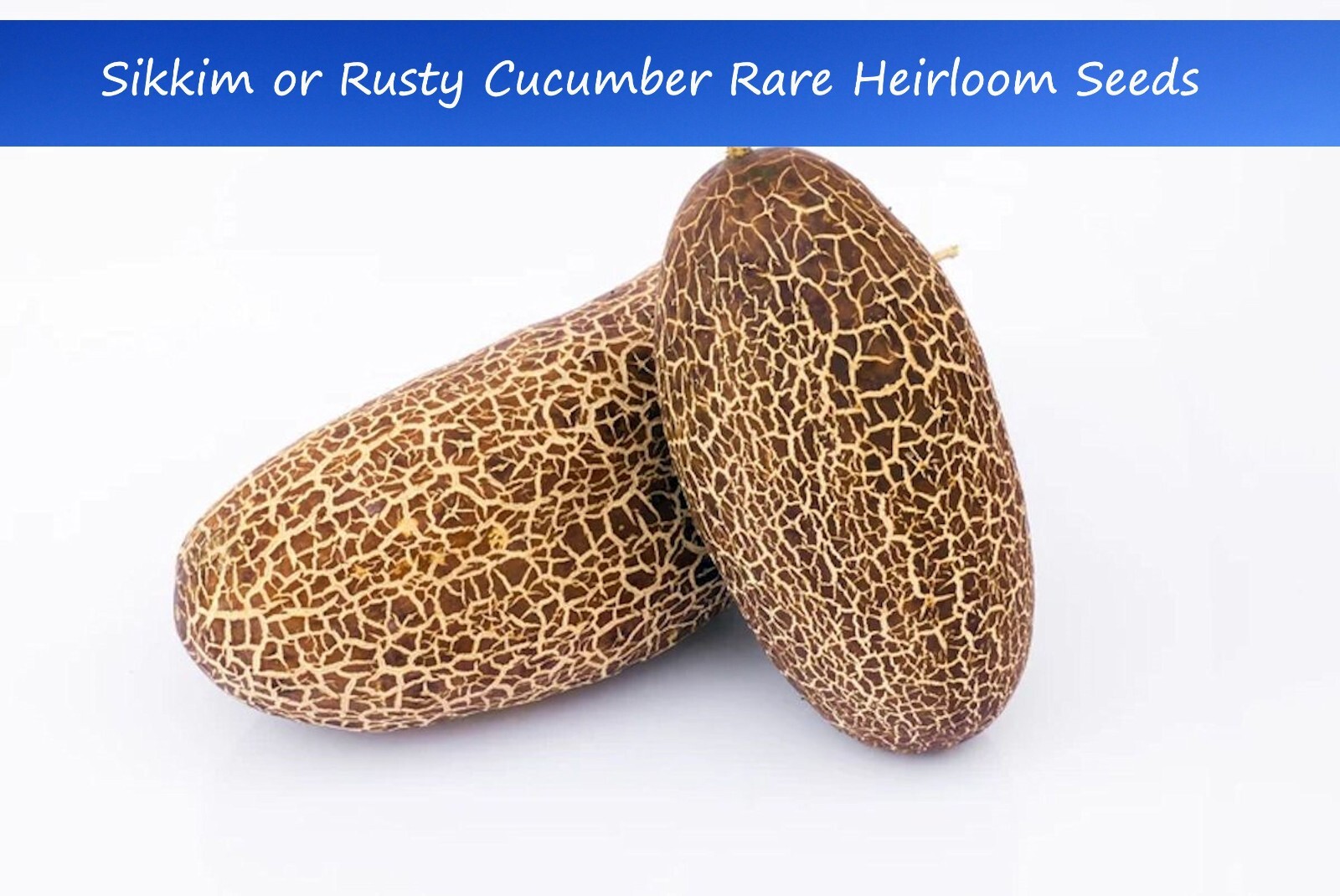 Heirloom Vegetable Seeds – ‘Sikkim’ -Rusty Cucumber-20 Seeds -Cucumis sativus