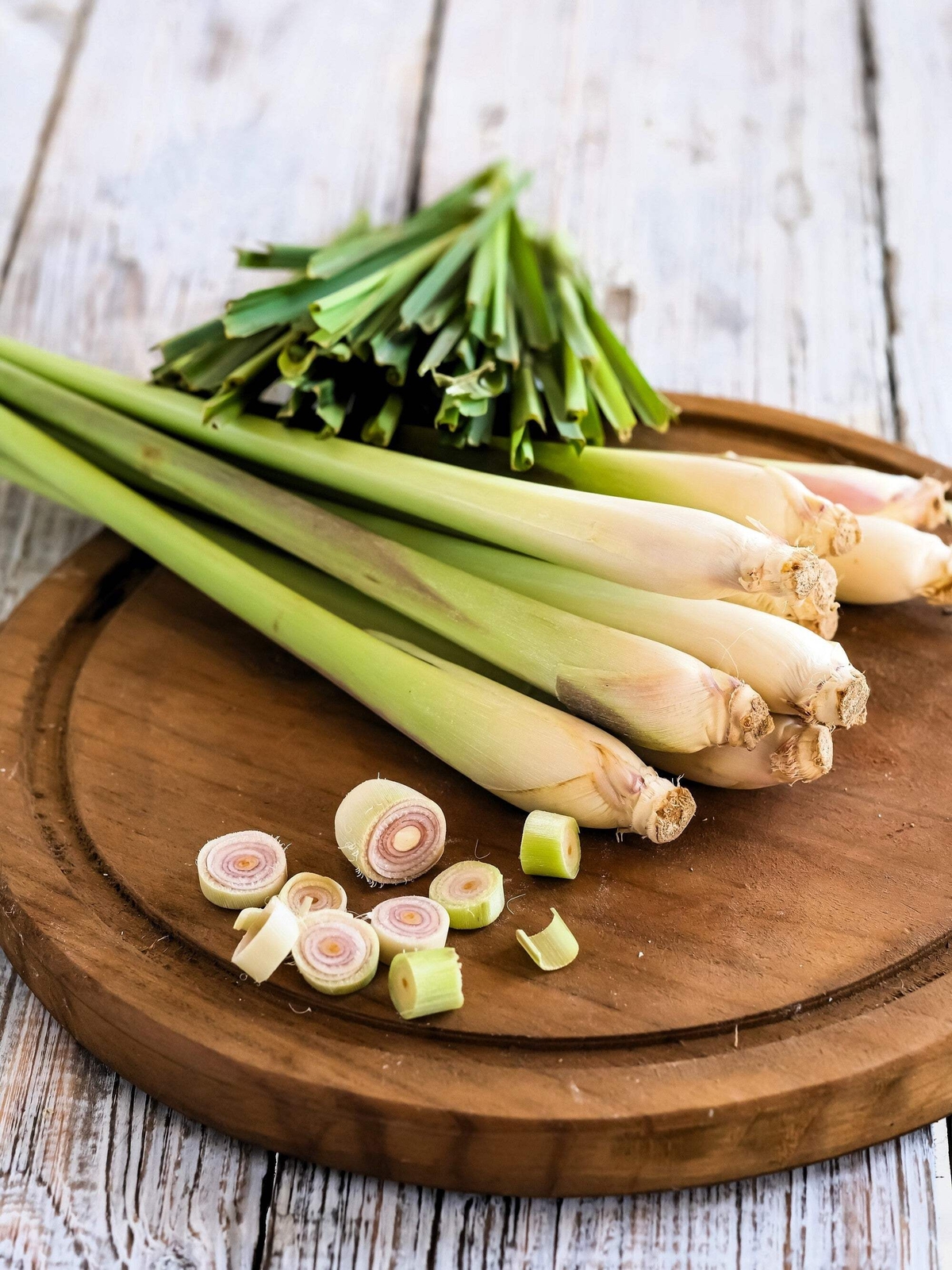 100 LEMONGRASS Lemon Grass Herb Vegetable Ornamental Cymbopogon Flexuosus Seeds