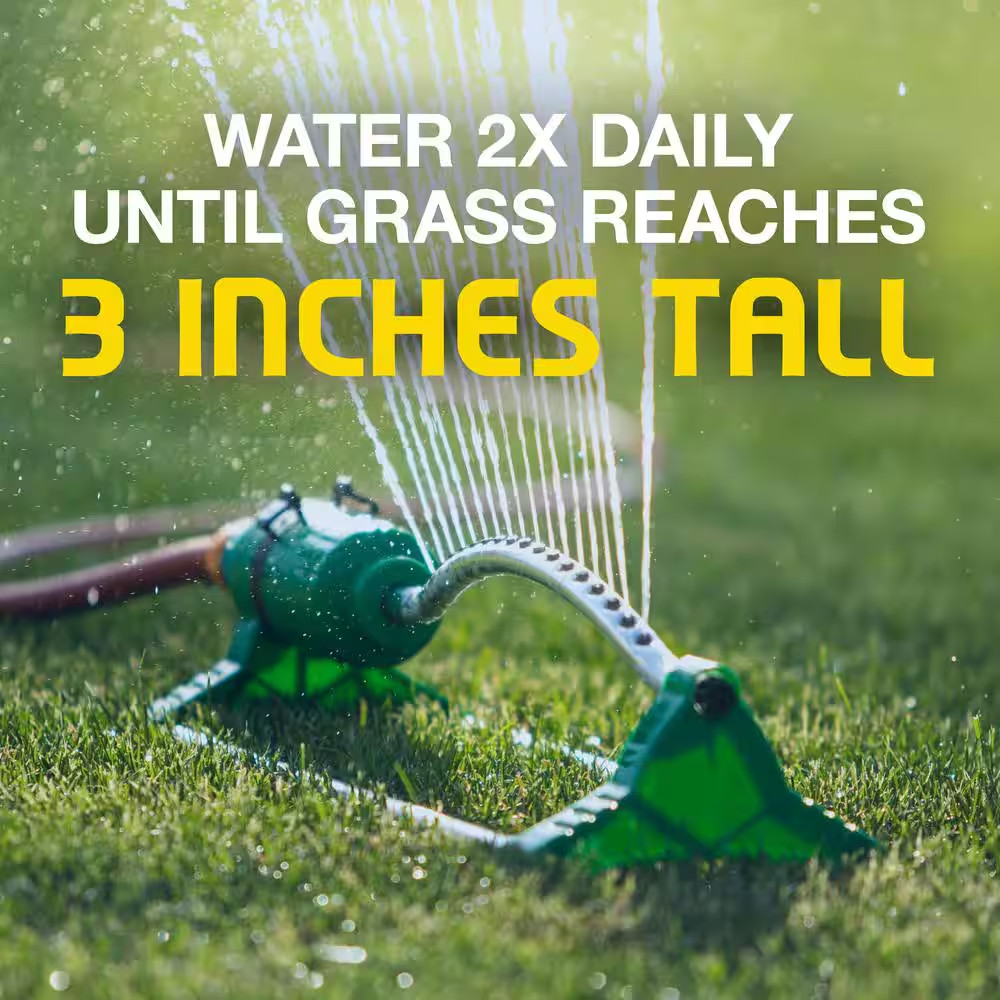 3 Lbs. Shady Lawn Grass Seed Mix