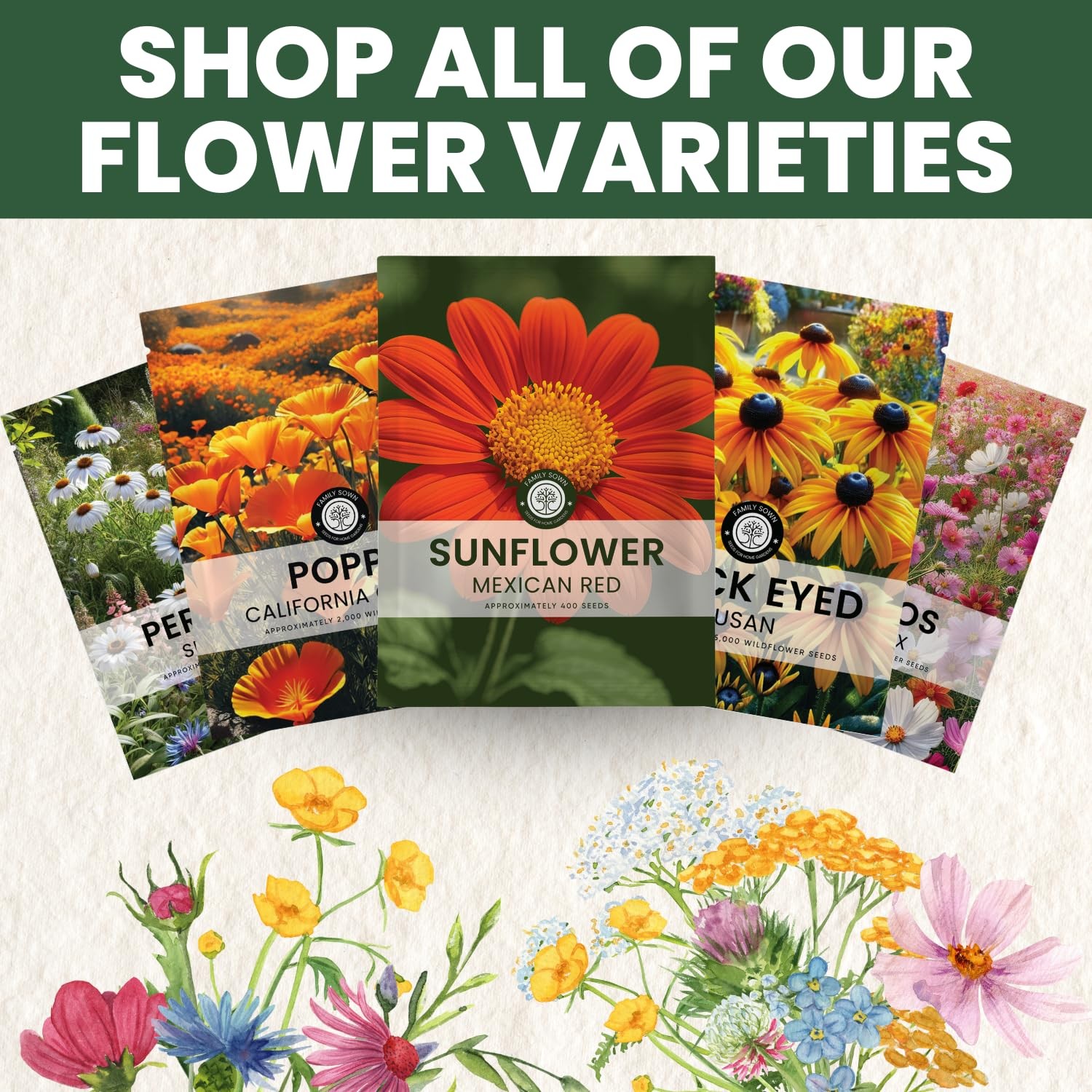 Mexican Sunflower Seeds – 9,000 Count for Planting – 4-Ounce Pack