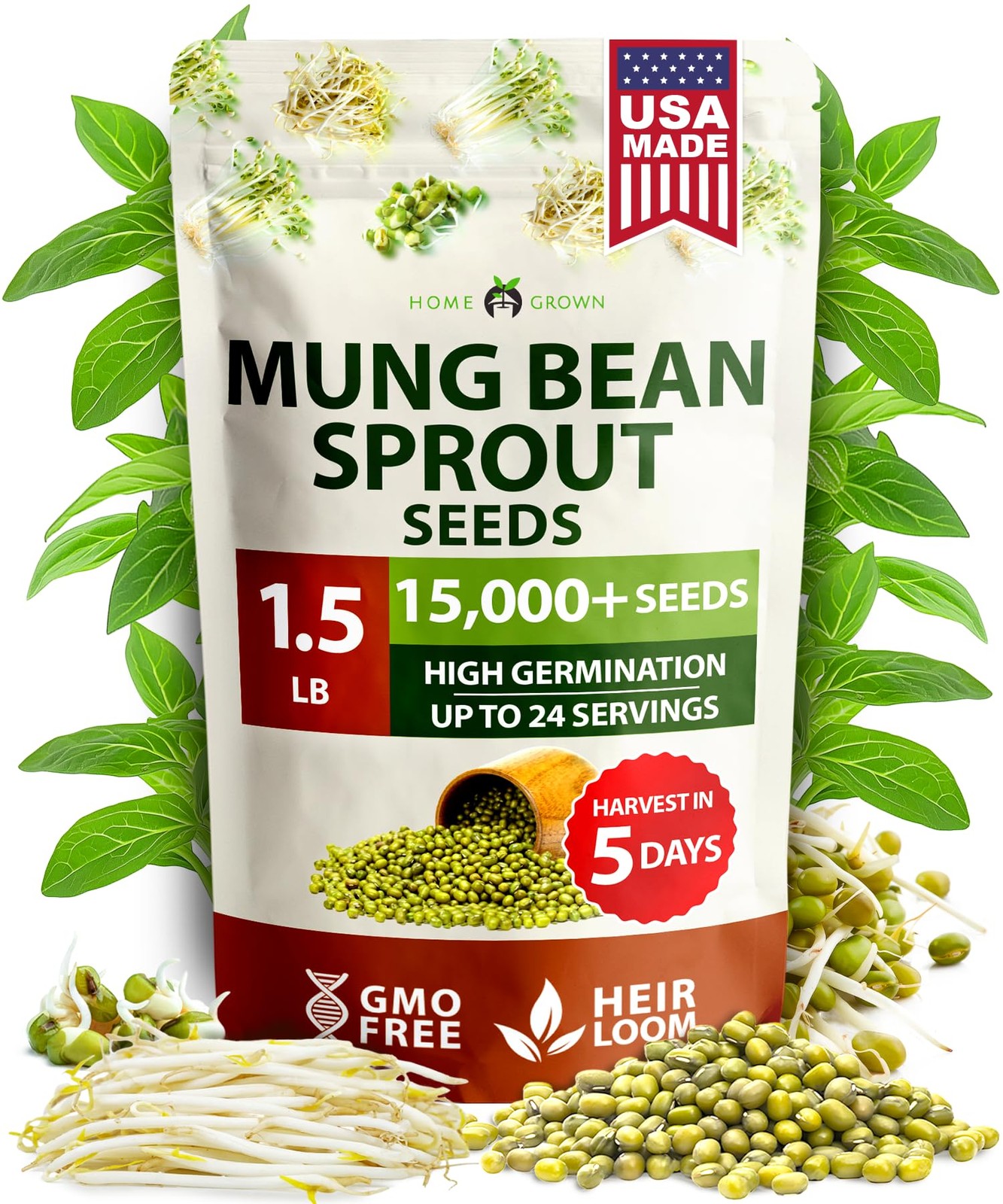 HOME GROWN Mung Beans Seeds Pack 1.5 lb Over 15,000 Sprouting Seeds Grow Fres…