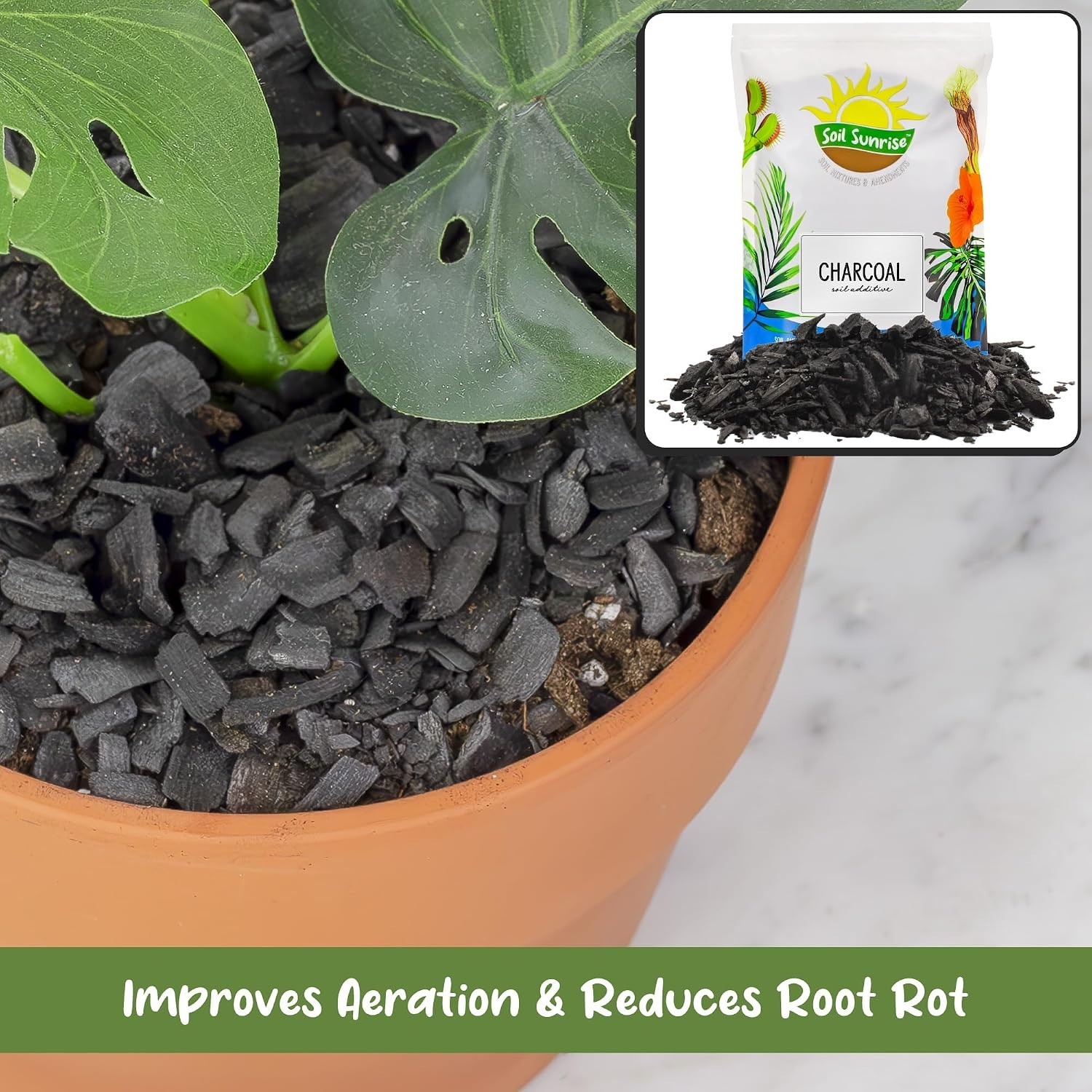 All-Natural Horticultural Charcoal 30 Quarts
