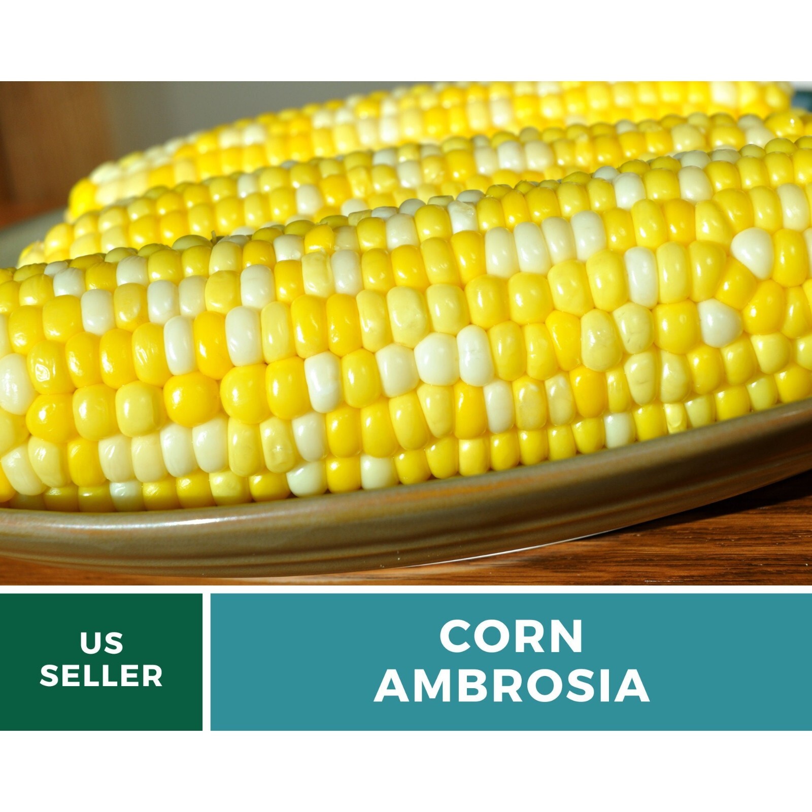 Corn, Ambrosia – 60 Seeds – Sweet Corn – Hybrid Vegetable – Non-GMO (Zea mays)