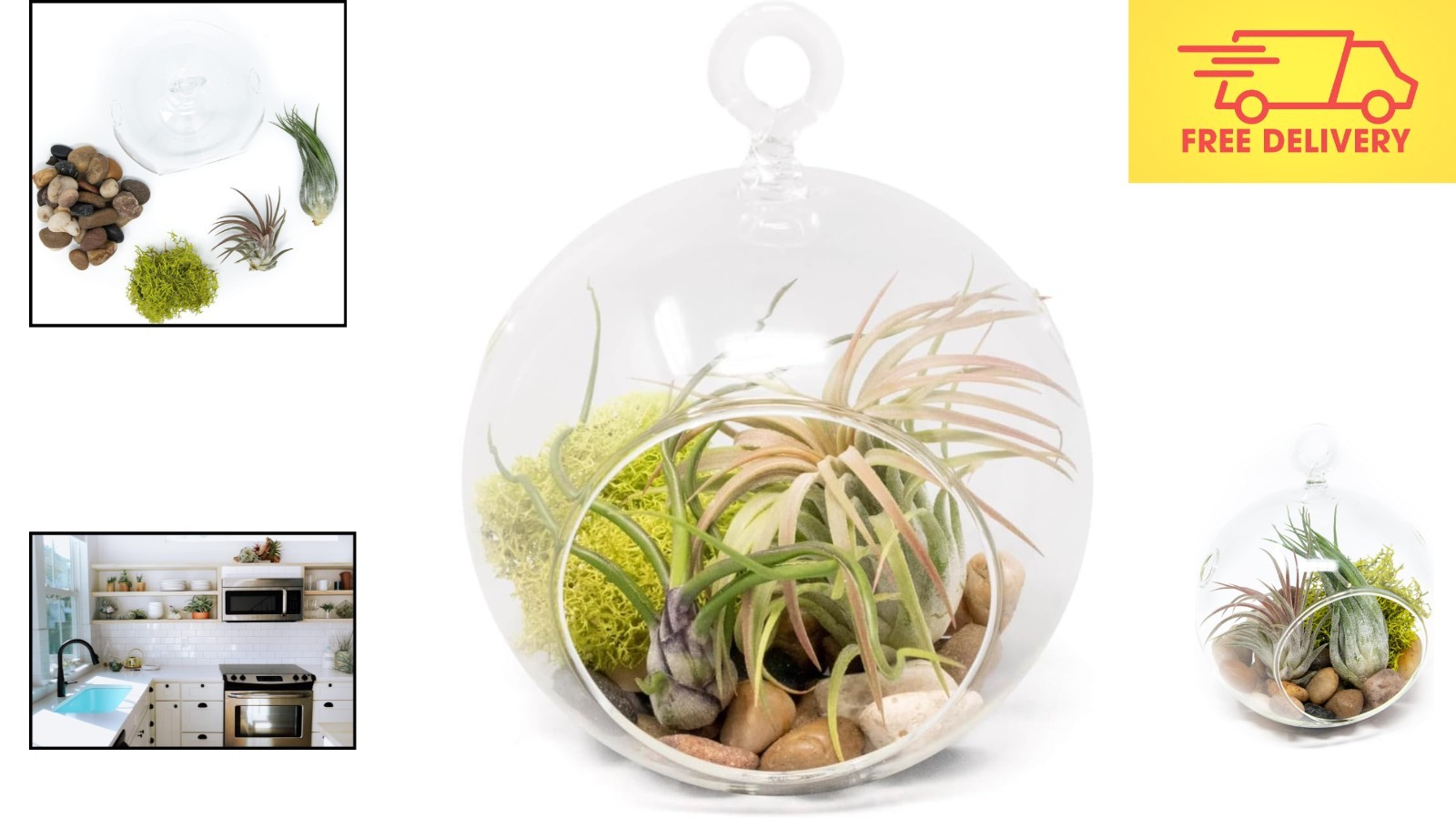 Modern Flat Bottom Terrarium Kit with Lightweight Glass and Assorted Air Plants