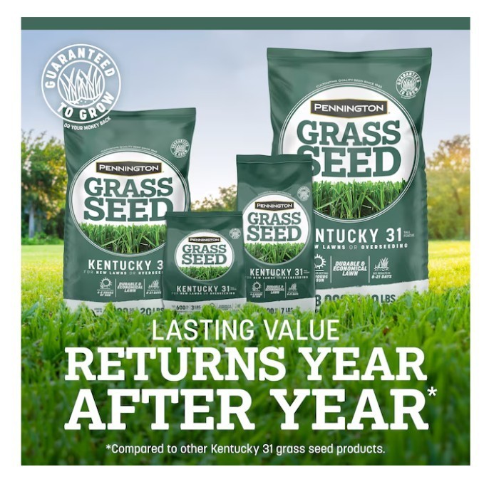 [HOT SALE] Pennington Kentucky 31 Tall Fescue Grass Seed 7 lb Bag (2 Pack) Lawn