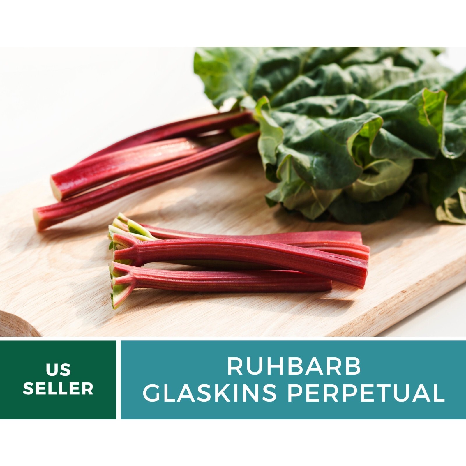 Rhubarb, Glaskins Perpetual – Heirloom Seeds – GMO Free (Rheum rhabarbarum)