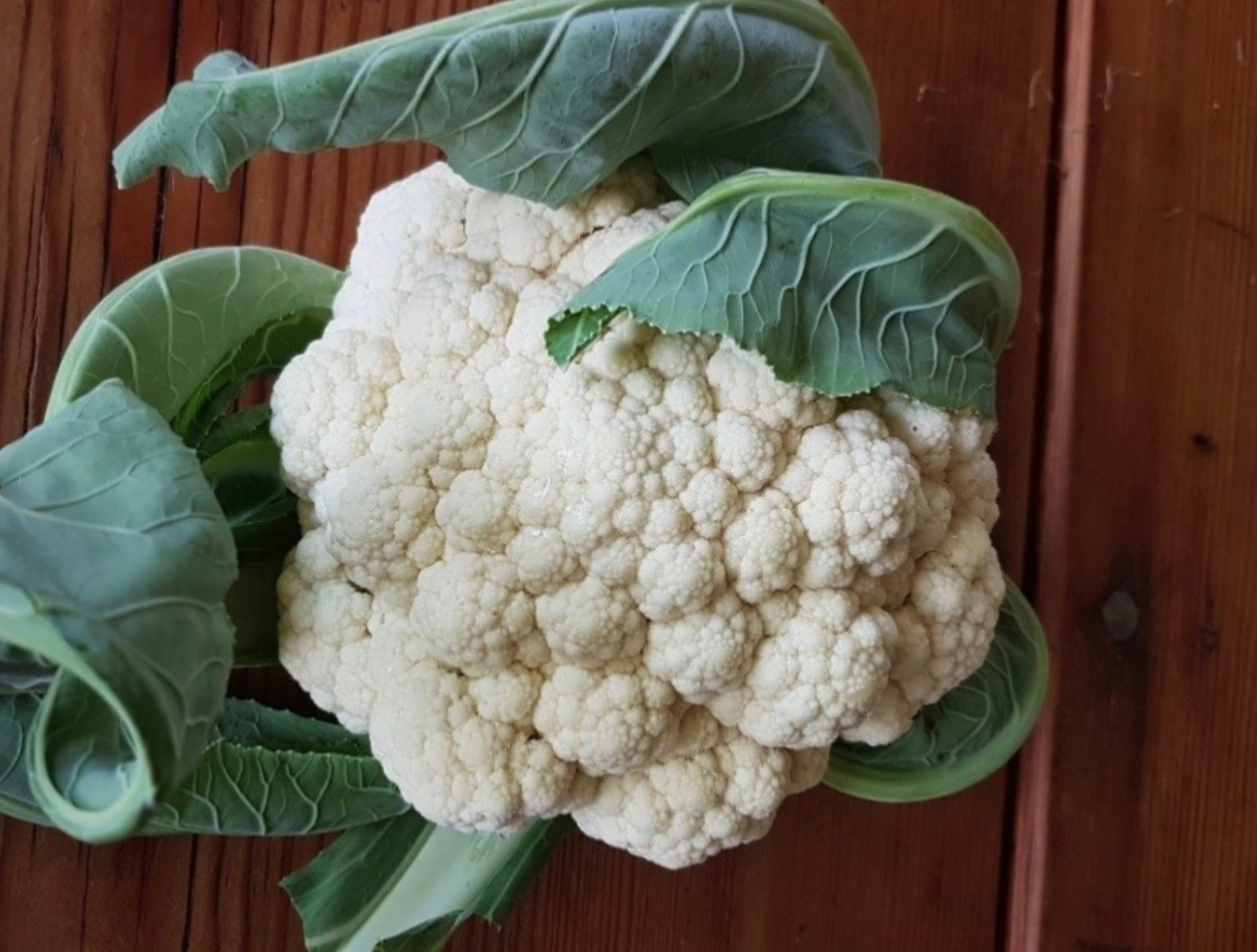 Fresh Cauliflower Seeds, Snowball Heirloom, Organic Non-GMO, USA Seller 🇺🇸