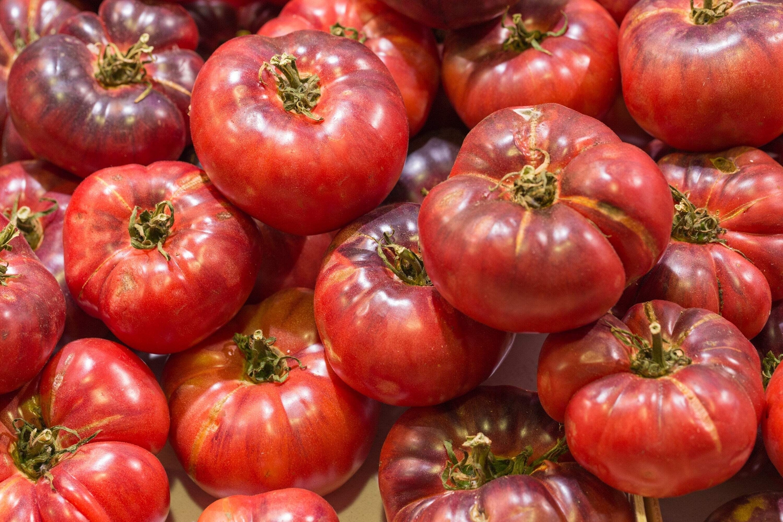80 BLACK KRIM TOMATO Solanum Lycopersicum Indeterminate Heirloom Beefsteak Seeds