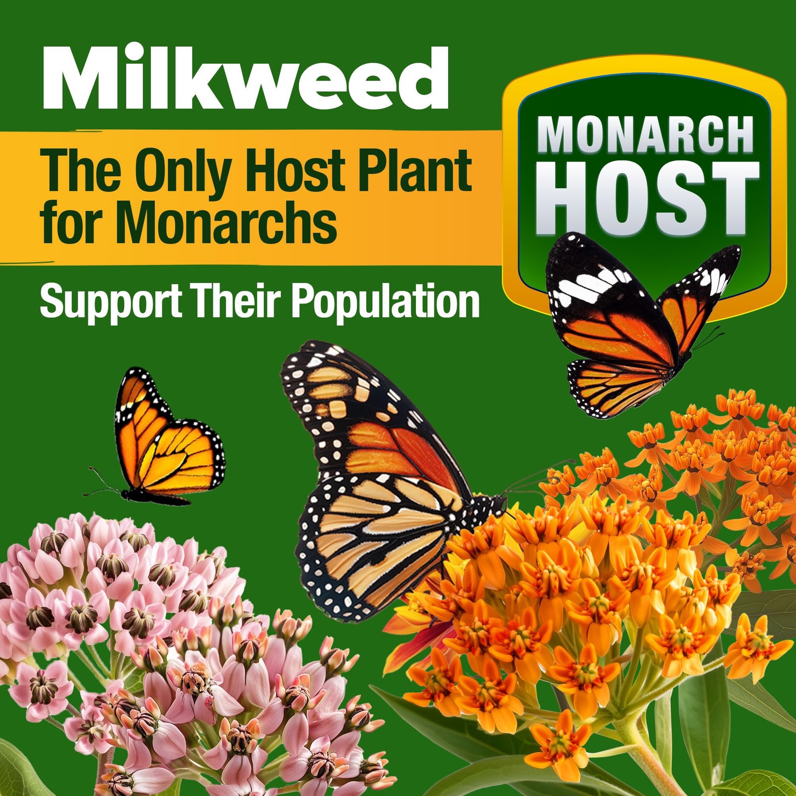 HOME GROWN Premium Monarch Butterfly Wildflower Seeds Mix (2oz) 1-Pack, Green