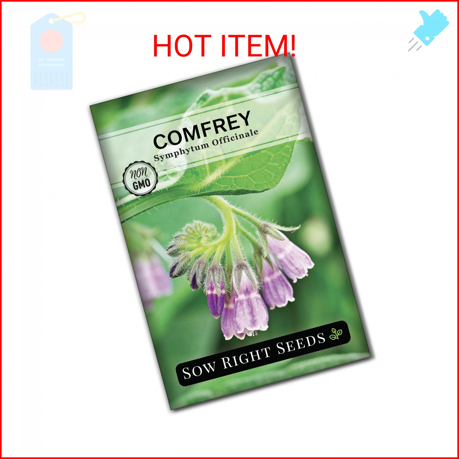 Sow Right Seeds – Comfrey Seeds for Planting – Non-GMO Heirloom – High-Yield Com
