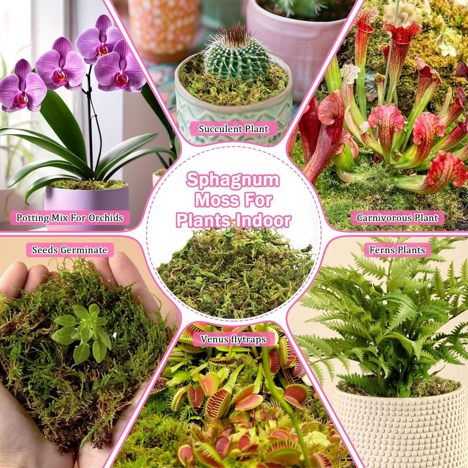 4.4LBS Premium Sphagnum Moss for Plants- 80QT Natural Dried Plant Moss for Potte