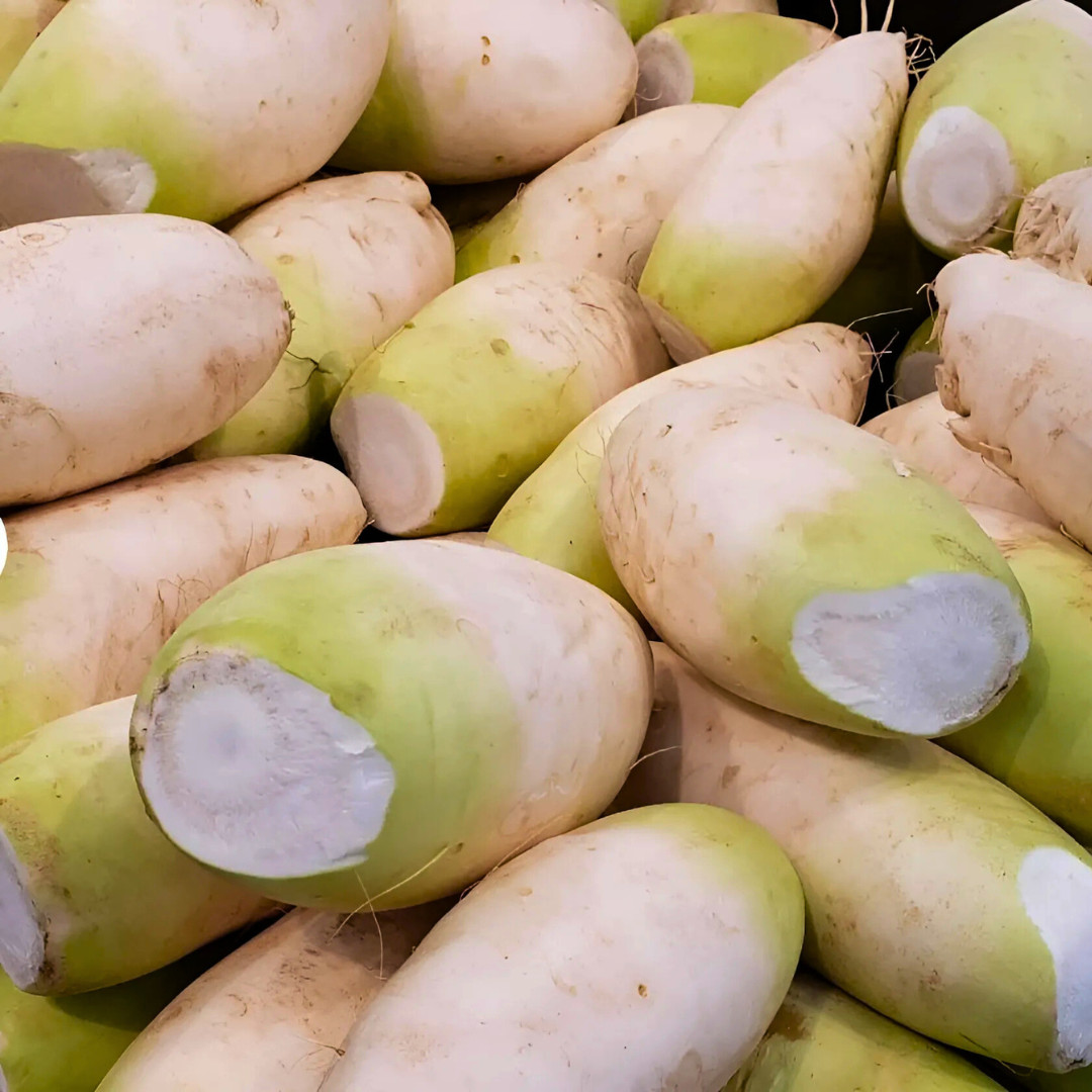 Fresh Korean Radish Seeds | Sushiro | Heirloom Non-GMO | Asian Vegetable Seeds