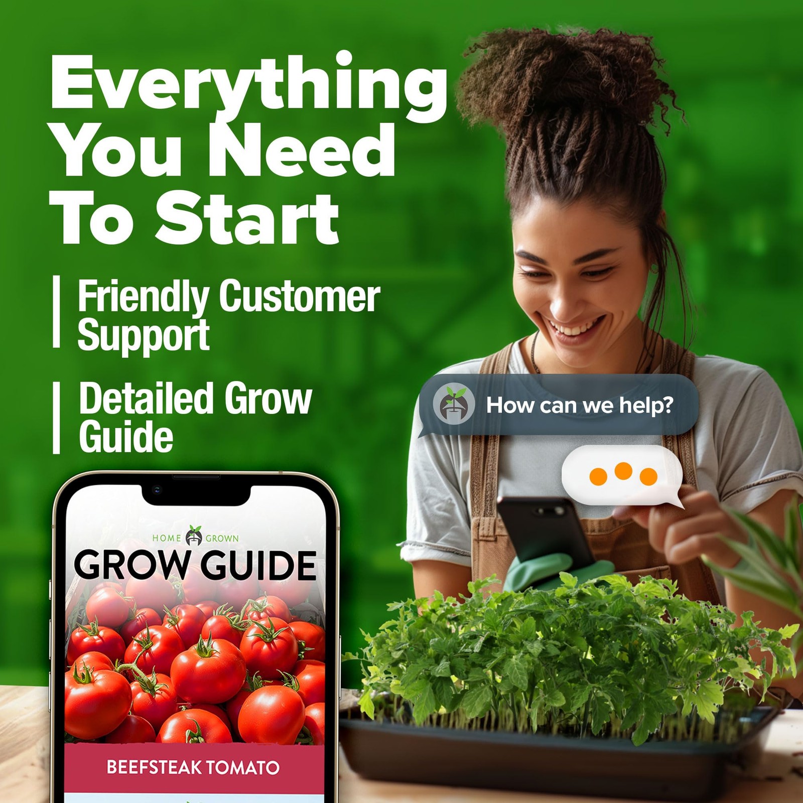 HOME GROWN Beefsteak Tomato Seeds 600+ Heirloom Non-GMO 2-Pack, Multi