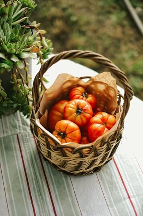 Garden Seeds – Deluxe Heirloom Variety Pack, Non-GMO, Perfect 15 Pack Vegetable