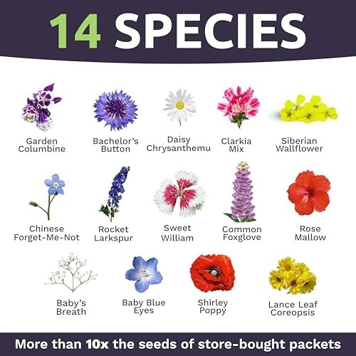 Bulk Wildflower Seeds Mix for Partial Shade – 1/4 lb, 30,000+ Open Pollinated