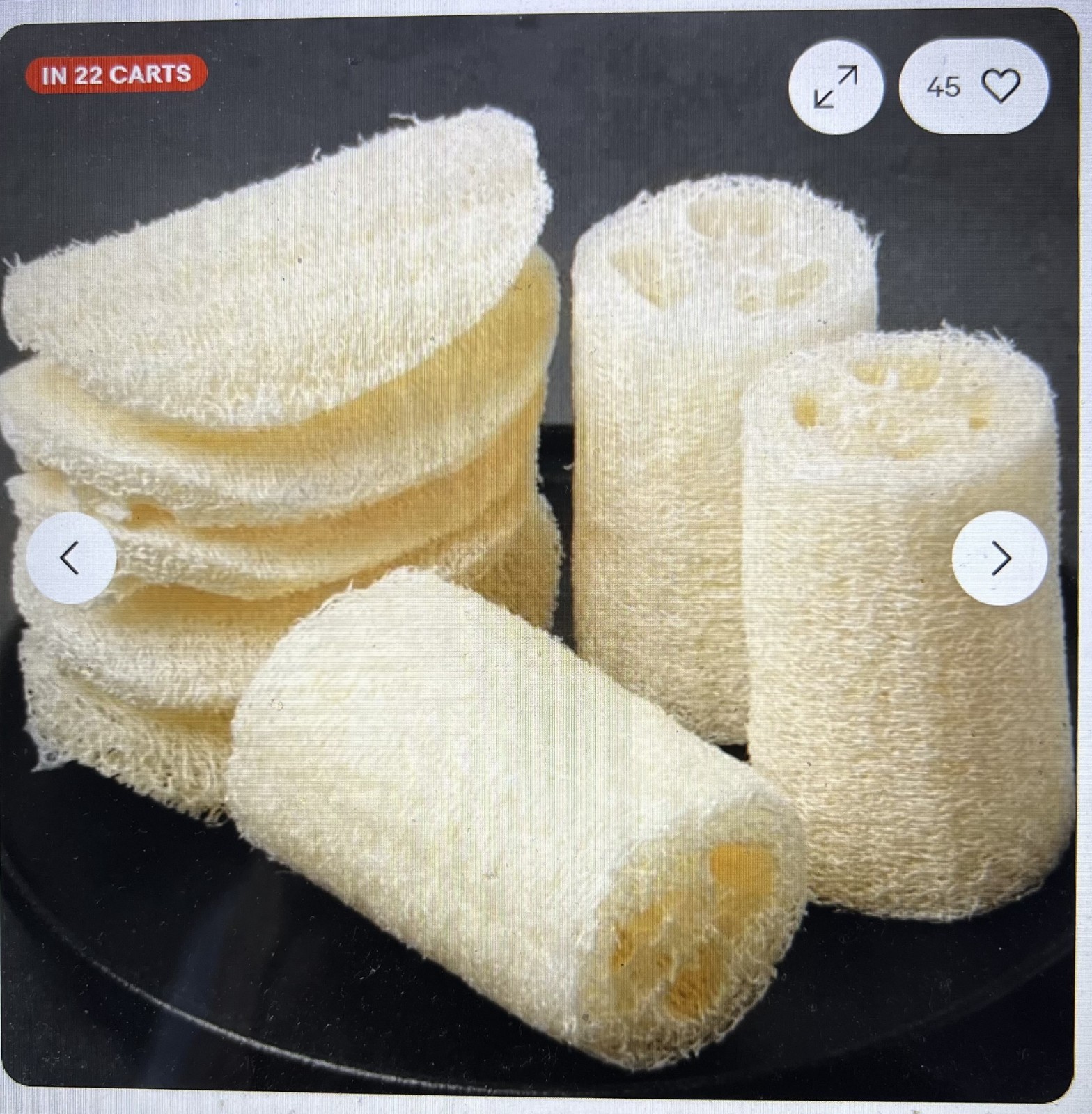 15 + Super Long Luffa Gourd Seeds – Non-GMO Heirloom Variety. Muop Huong.