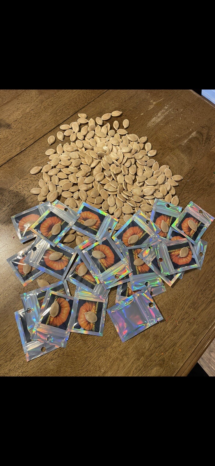 Atlantic Giant Pumpkin Seeds 1305 McMillin’24 (1783 New x 1109 McMillin)$25