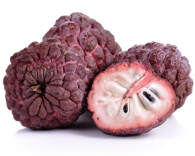 Rare Sugar Apple (Sweetsop)- Kampong Mauve variety 20 seeds