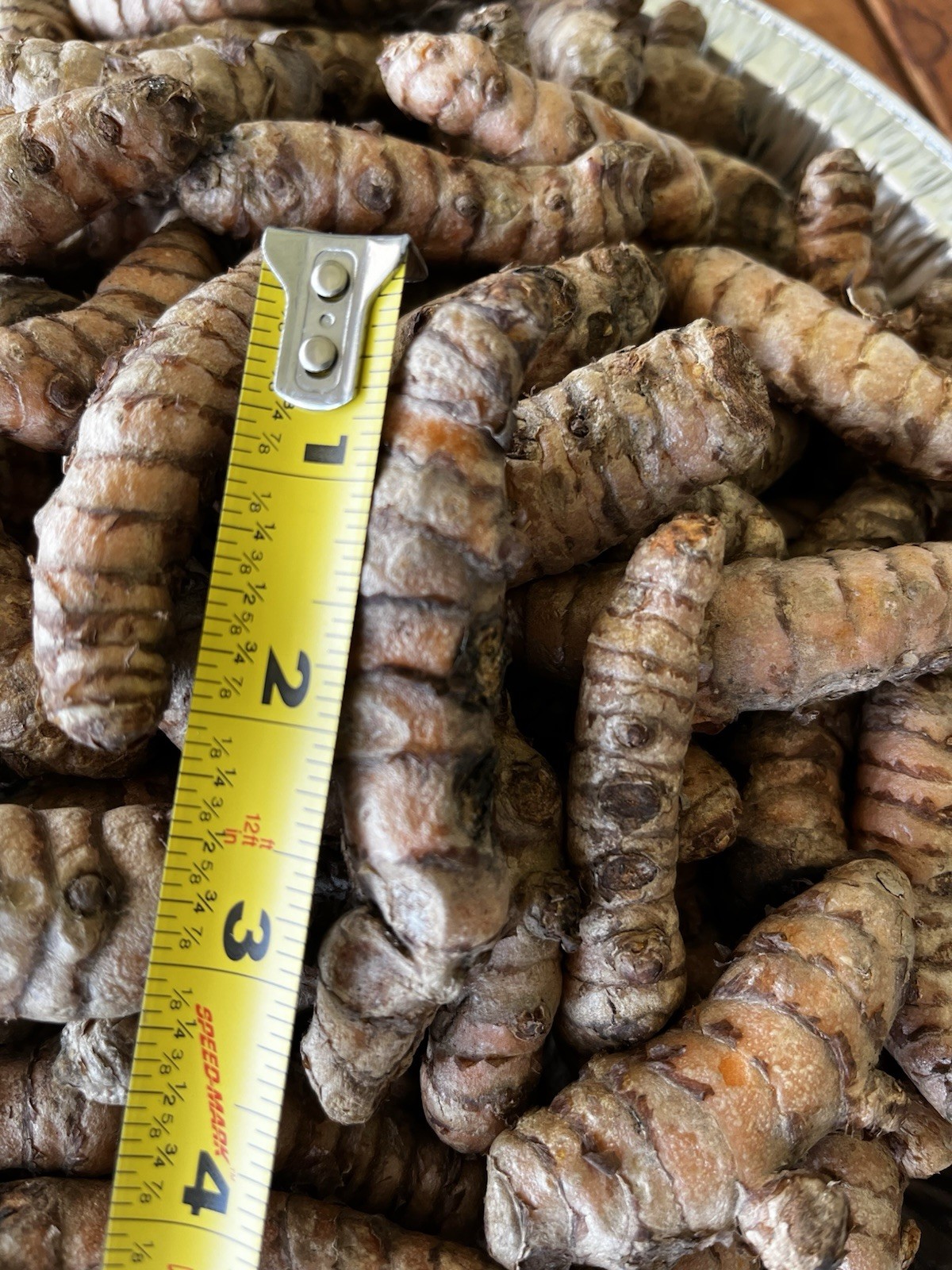 10 PCs Turmeric Roots Curcuma Longa Ready To Plant 1-2” with growth