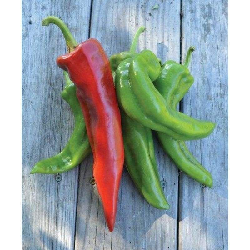 #13 Heirloom Vegetable Seeds 6 Variety Garden Set Emergency Survival NON-GMO WOW