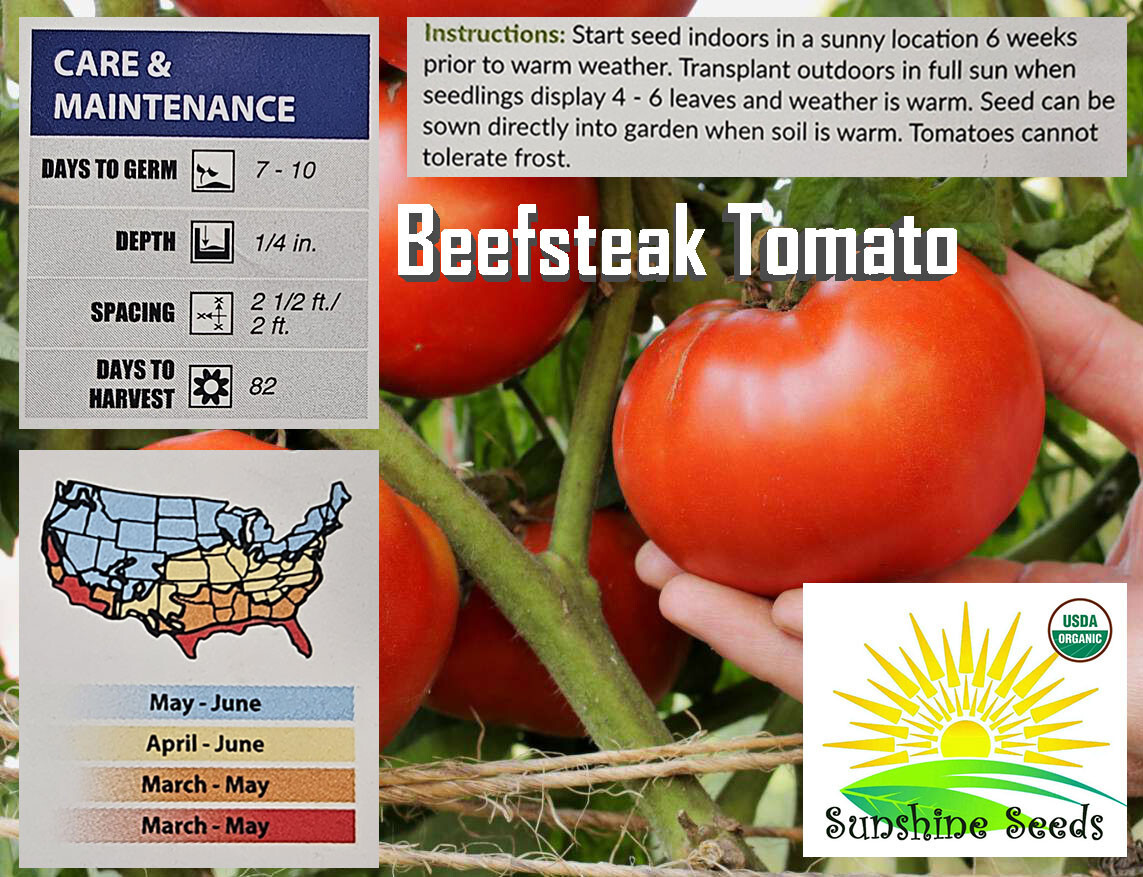Organic Beefsteak Tomato Seeds | Heirloom | Non-GMO | INDETERMINATE (40)