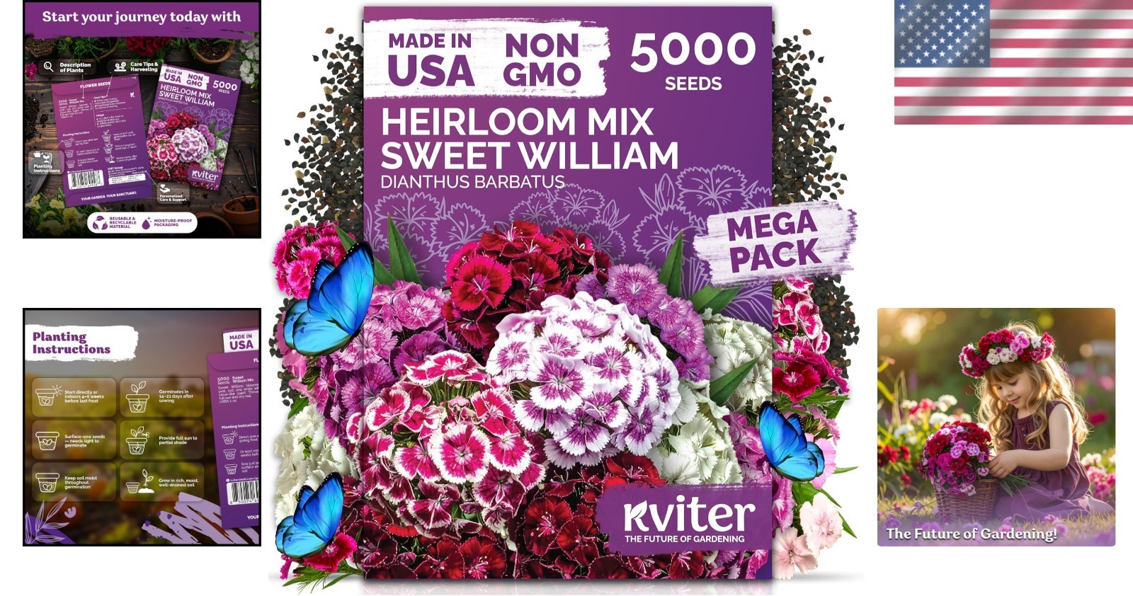 Versatile 5000 Count Sweet William Seeds – Low Maintenance & Resilient Flowers