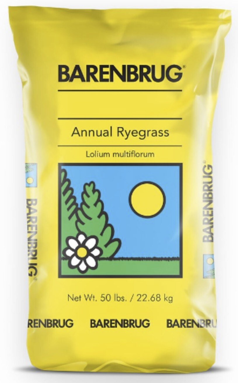 Barenbrug 491087 50 lb Bulk Bag Annual Rye Ryegrass Grass Seed