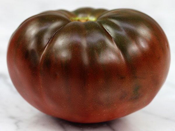 Black Brandywine Tomato Organic, Heirloom. 30 Seeds. Free Shipping!