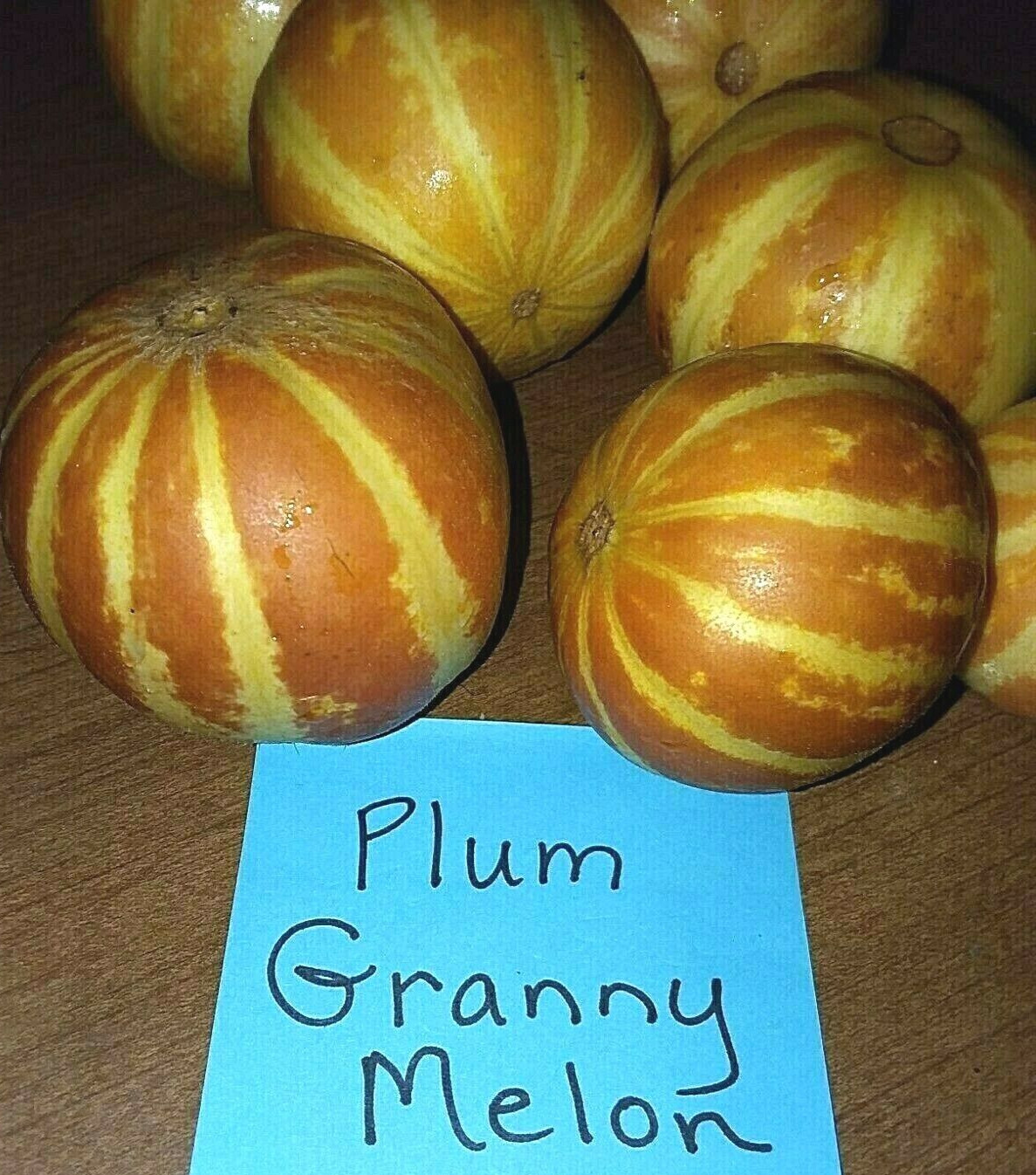 Plum Granny Melon Seeds – Mini Melon’s – 15 Seeds – Loads of fruit – Comb. S/H