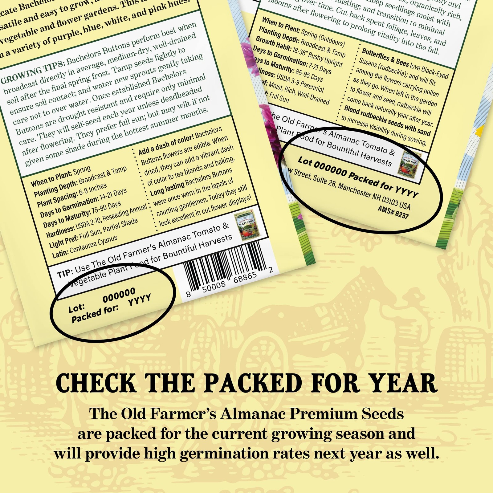 The Old Farmer’s Almanac Heirloom Organic Cilantro Seeds (Slow Bolt) – Green