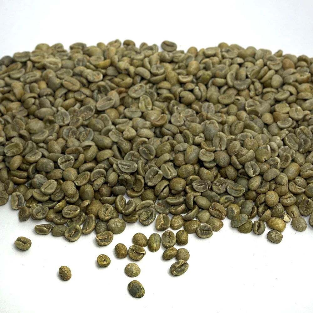 Costa Rican Tres Rios Coffee Bean Tree Seeds (25) / DELICIOUS / Easy