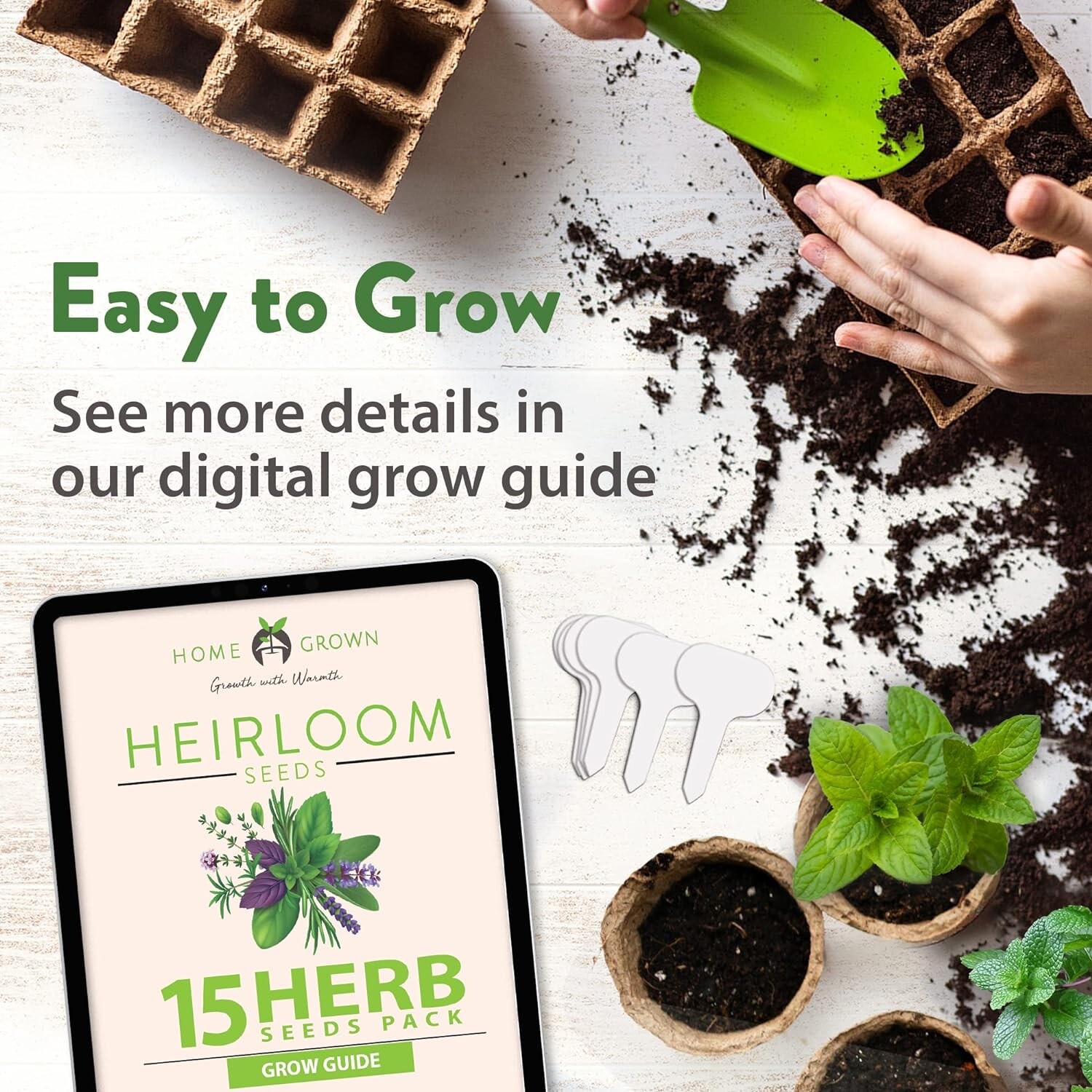 HOME GROWN 15 Culinary Herb Seeds Heirloom & Non GMO High Germination Rate Basil