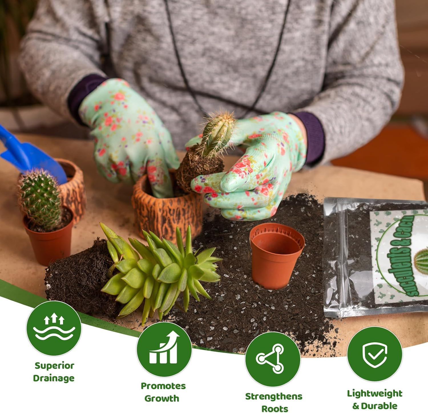 Cactus & Succulent Soil Mix 1Qt, Chunky Well-Draining Soil for Indoor Plants – S