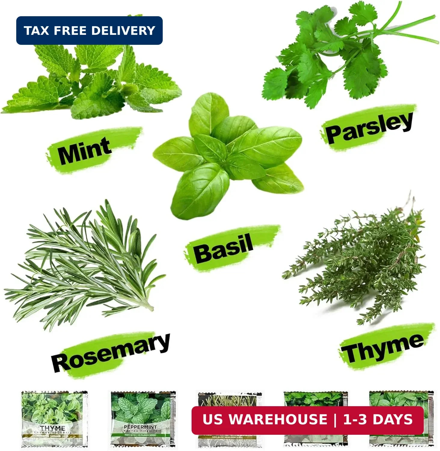 Meekear 5 Herb Indoor Starter Kit, Complete Planting Set for Kitchen Herb Garden