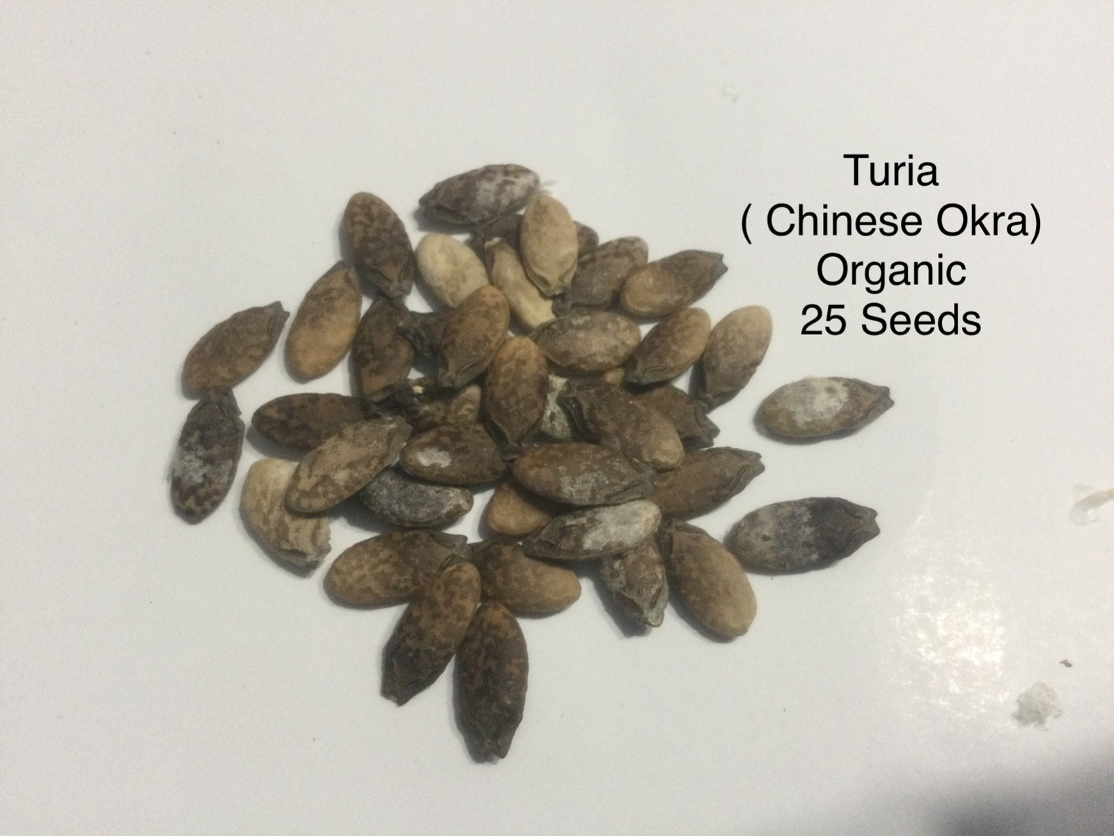 Seeds(Organic) All type, Please See Description