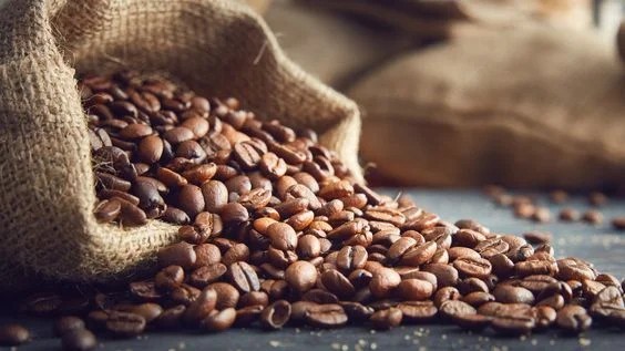 Brazilian Minas Gerais Carrado Coffee Bean Tree Seeds (25) / DELICIOUS/ RARE
