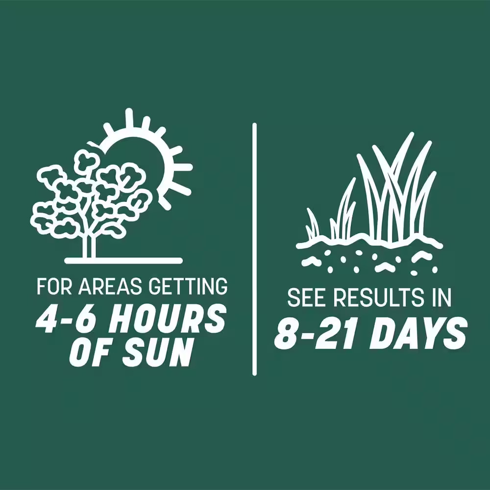 Smart Seed Sun and Shade North 7 Lb. 2,330 Sq. Ft. Grass Seed and Lawn Fertilize