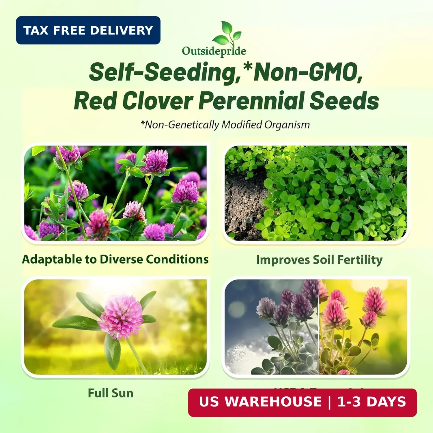 Outsidepride Perennial Red Clover Seeds – 5 lbs. Self-Seeding, Nitrocoated, Inoc